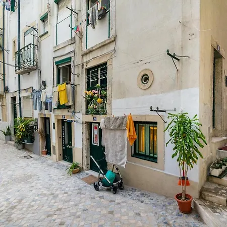 Whome Beco Patacas Perfect Location To Explore Appartement